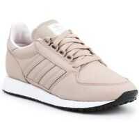 Sneakers Lifestyle shoes Adidas Forest Grove Barbati