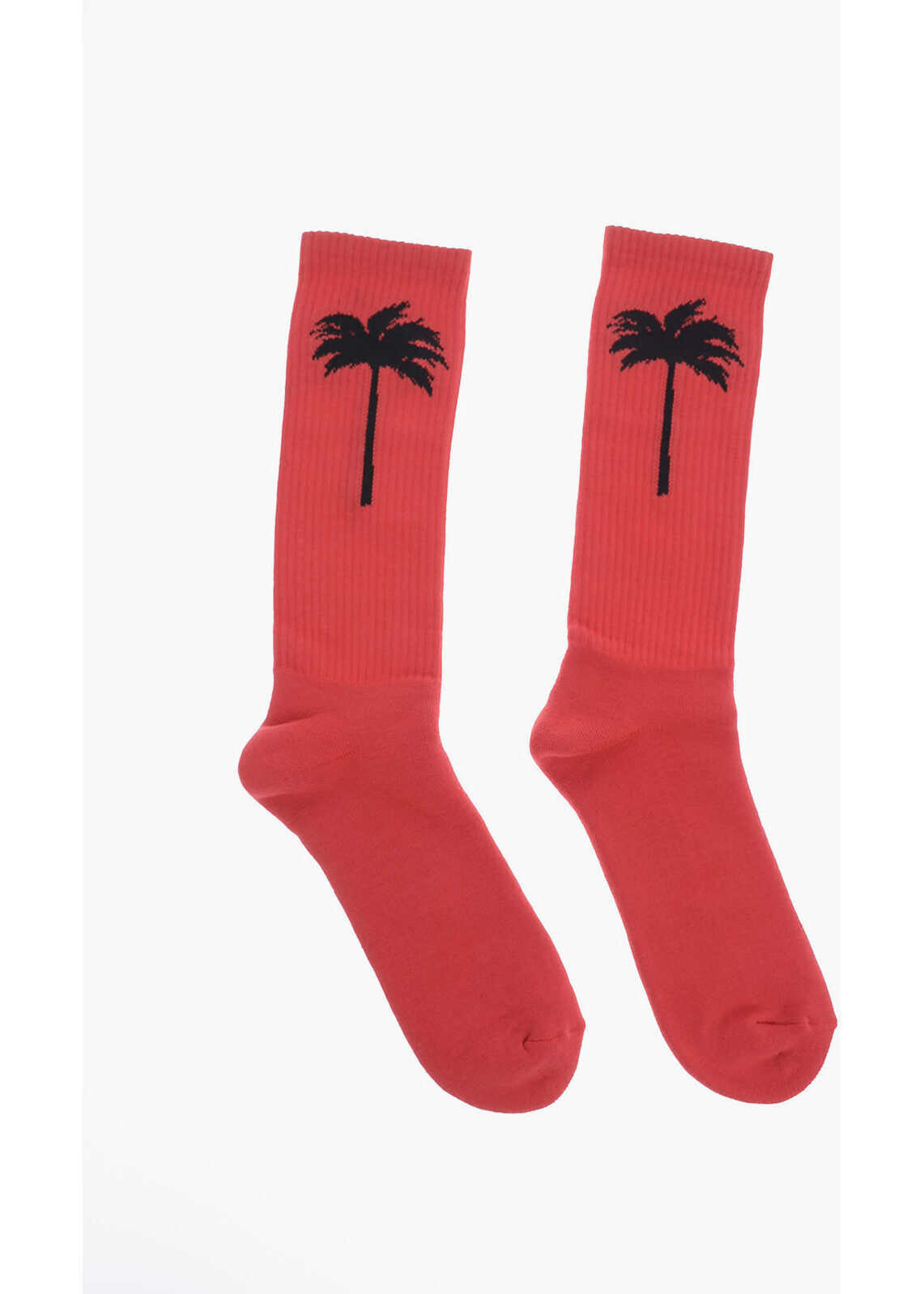Stretch Cotton Embroidered PALM Socks