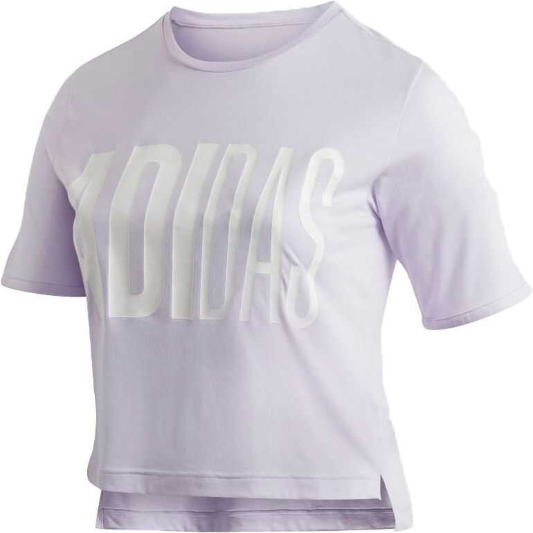 adidas Tee T-Shirt FQ2223 Pink