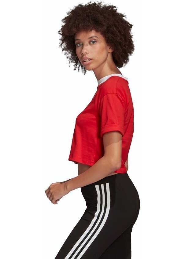 Tricouri adidas Crop Top Red Femei (BM 8545902) 3
