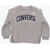 Converse Printed Sweatshirt Gray