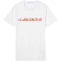 Tricouri Calvin Klein J30J307856