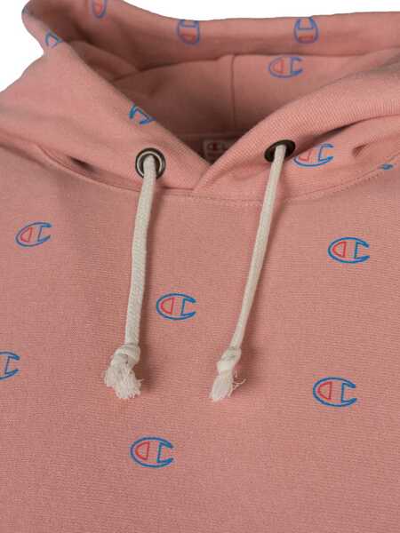 Hanorace Champion 210978 Rowy Barbati (BM 8572182) 4