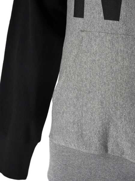 Hanorace Champion 209235 Szary Barbati (BM 8576676) 4