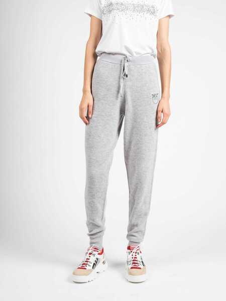 Pantaloni casual Pinko Teroldego 1G16B5 Szary Femei (BM 8714052) 3