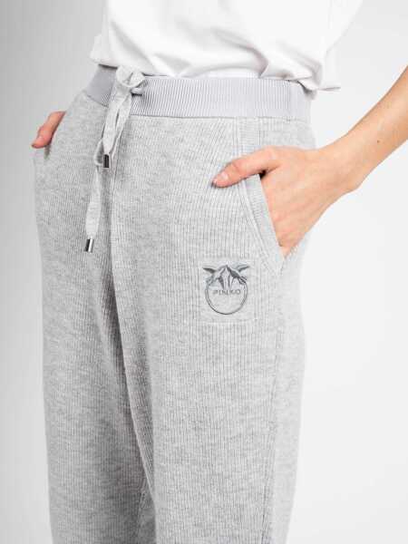 Pantaloni casual Pinko Teroldego 1G16B5 Szary Femei (BM 8714052) 6