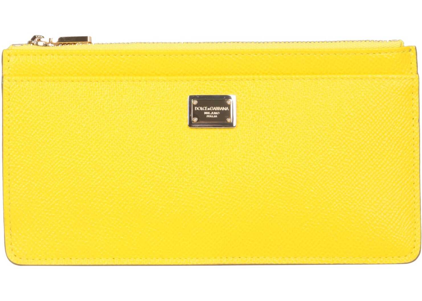 Dolce & Gabbana Large Card Holder BI1265_A100180203 YELLOW