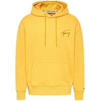 Hanorace Signature Hoodie DM0DM12940ZFW Barbati
