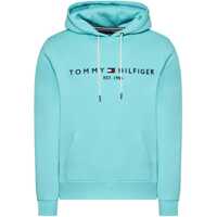 Hanorace Tommy Hilfiger Logo Hoody MW0MW11599CSR