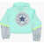 Converse All Star Chuck Taylor Animal Details Hoodie Light Blue