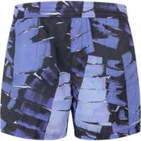 Sorturi de baie Swim Trunk Barbati