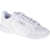 adidas Performance adidas Roguera White