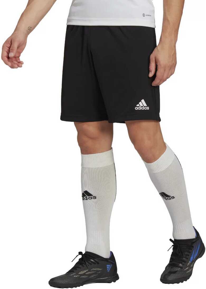 Pantaloni scurti adidas Performance adidas Entrada 22 Shorts Black Barbati (BM 8962040) 2