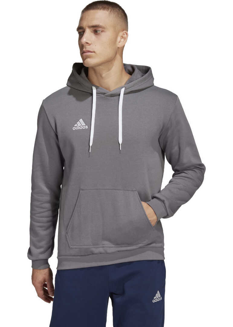 Hanorace adidas Performance adidas Entrada 22 Sweat Hoodie Grey Barbati (BM 8962043) 2