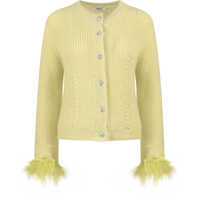 Pulovere casual Cardigan Femei