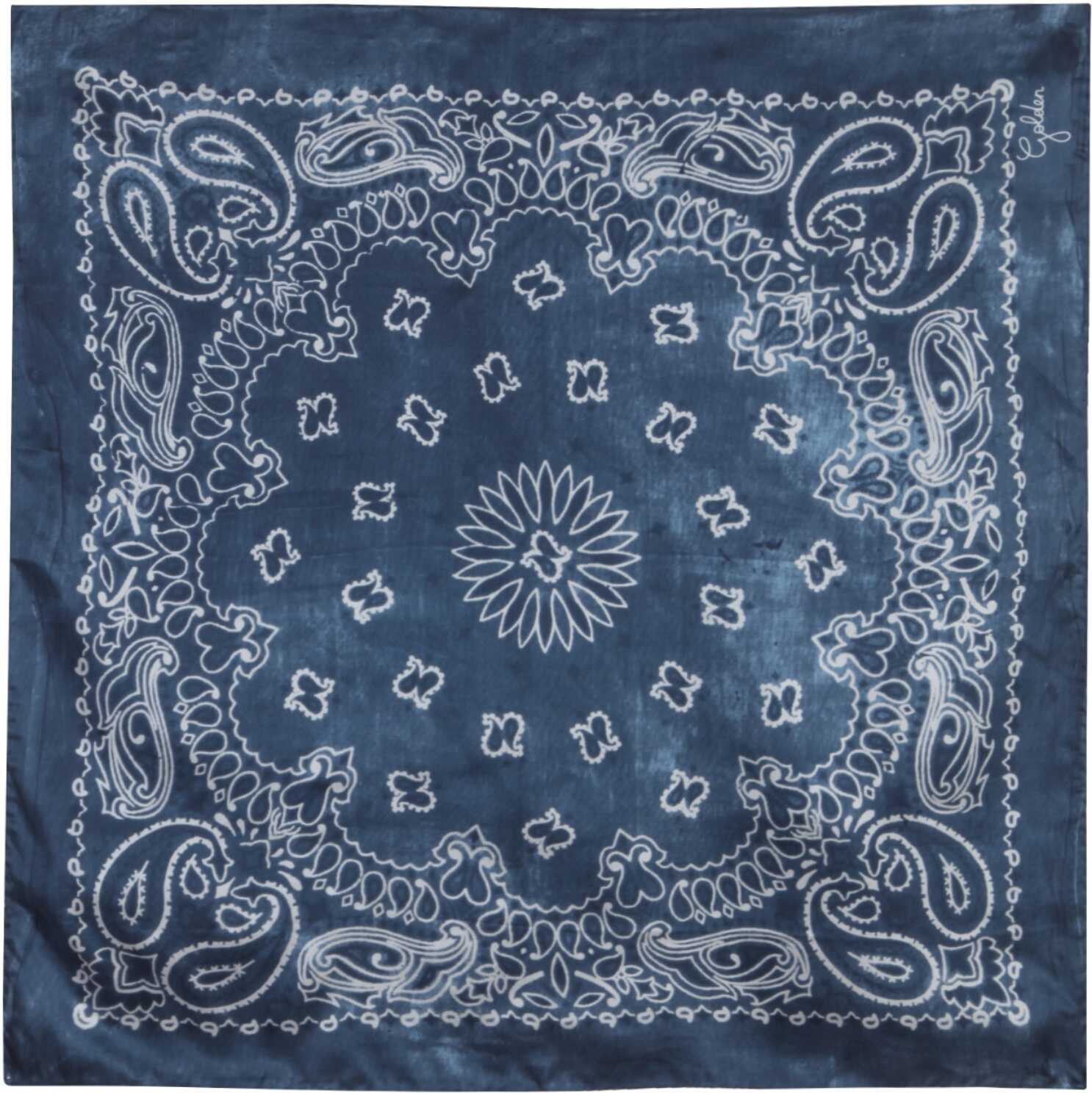 Golden Goose Scarf With Print BLUE