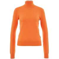 Pulovere casual Turtleneck sweater Femei