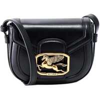 Genti de umar Shoulder Bag Femei