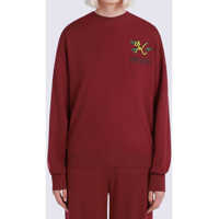 Pulovere casual Tiger Tail K Jumper Femei