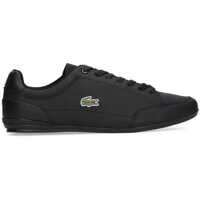 Sneakers Lacoste Chaymon