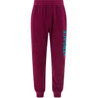 Pantaloni casual Sweatpants Barbati