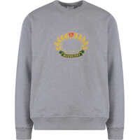 Bluze Sweatshirt Barbati