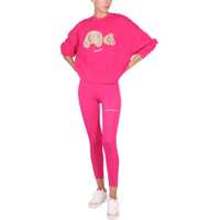 Bluze de trening Bear Sweatshirt Femei
