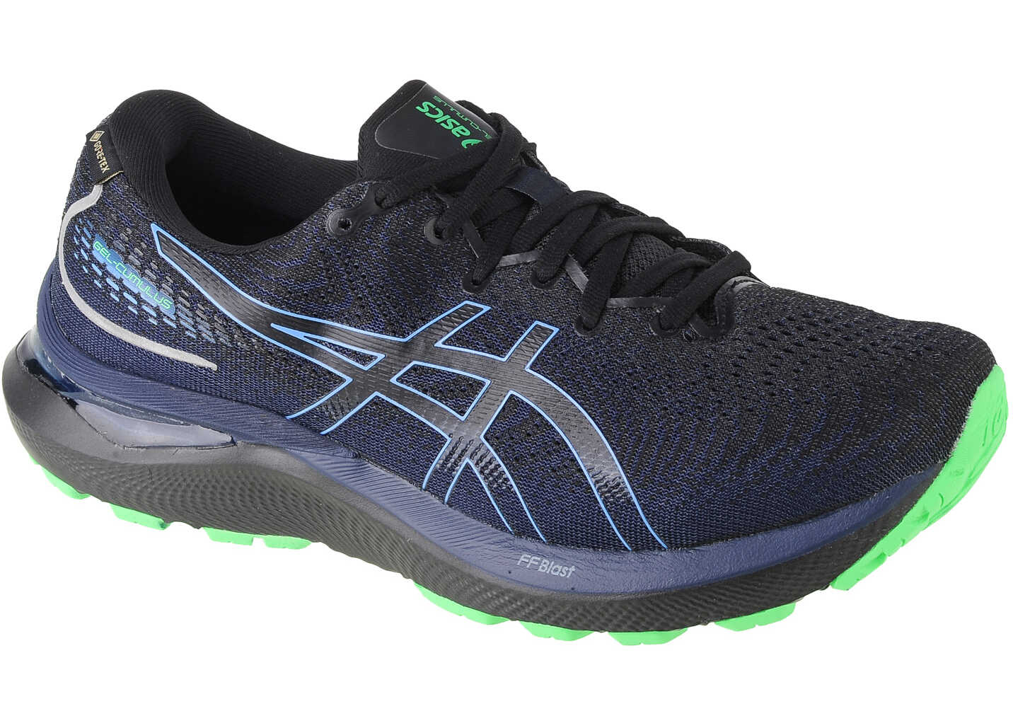 ASICS Gel-Cumulus 24 Gtx Black