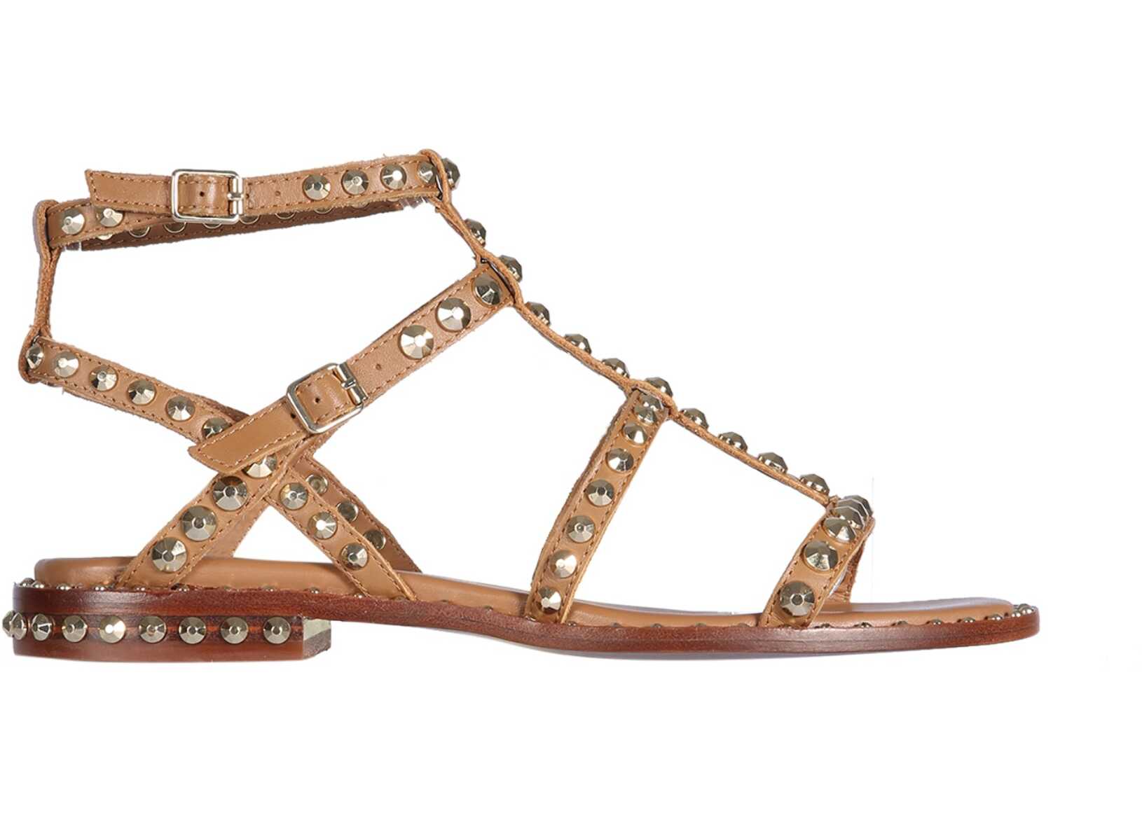 ASH Sandal Precious 02 BROWN