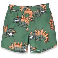 Sorturi de baie Swim Shorts Baieti