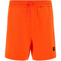 Pantaloni scurti Short Pants Barbati