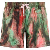 Sorturi de baie Swim Trunk Barbati