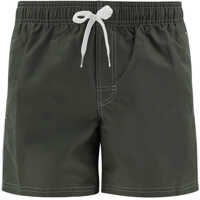 Bermude Board Swinshorts Barbati