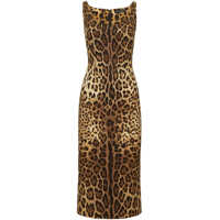 Rochii de zi Dress Femei