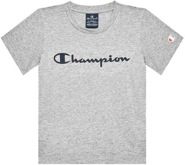 Champion Crewneck T-Shirt Grey