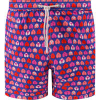 Sorturi de baie Swim Trunk Barbati