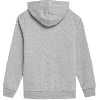 Imbracaminte 4F pentru Baieti - Imbracaminte 4F M219 Gray Baieti (BM 9854102) - B-mall.ro