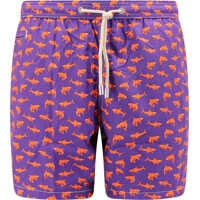 Sorturi de baie Swim Trunks Barbati