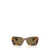 MIU MIU EYEWEAR Miu Miu Eyewear Sunglasses HONEY HAVANA