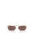 Persol Persol Sunglasses GOLD