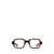 Saint Laurent Saint Laurent Eyewear Eyeglasses Brown