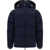 Burberry Down Jackets NVY/CHRCL MEL IP CHK