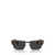 Persol Persol Sunglasses CAFFE