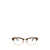 Ray-Ban Ray-Ban Eyeglasses BROWN HAVANA