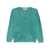 Absolut Cashmere Absolut Cashmere Sweaters Green