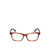 Moncler Moncler Eyeglasses Brown