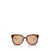 MIU MIU EYEWEAR Miu Miu Eyewear Sunglasses STRIPED TOBACCO