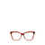 Moncler Moncler Eyeglasses BLONDE HAVANA