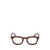 Moncler Moncler Eyeglasses Brown