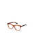 Moncler Moncler Eyeglasses Brown